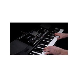 Sintetizador Korg Con Pantalla Tactil Y Lector Usb Pa300