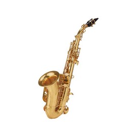 Roy Benson Sg-302 Sax Soprano Curvo Laqueado