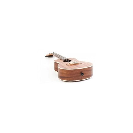 Ukelele Concierto Bamboo Bu-23 Cf Ukulele Con Funda