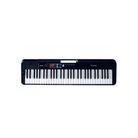 Teclado Portatil Casio Ct-s300