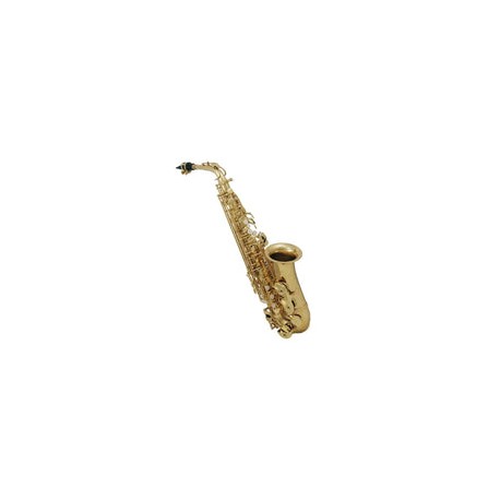 Saxofón Alto Roy Benson Laqueado As-202