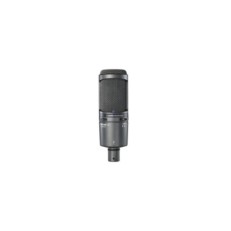 Microfono Audiotechnica De Estudio Lateral, At2020 Usb