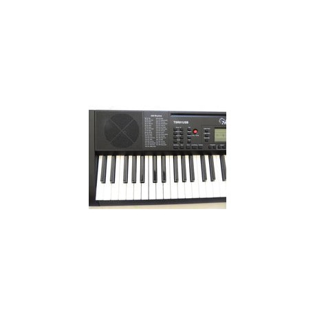 Teclado Alde Audio Tsr 61usb Electronico 61 Teclas 128 Voces