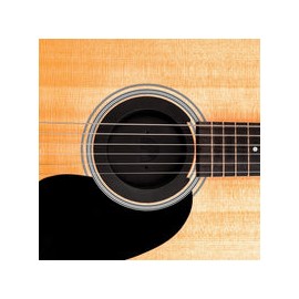 Supresor De Feedback Planet Waves Para Guitarra Pw-Sh-01