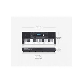 Teclado Roland Arranger 61 Teclas C/Bocina 2x5" 6w, E-X20
