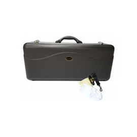 Sax Alto Silvertone Laqueado Sas-200l, Slsx009