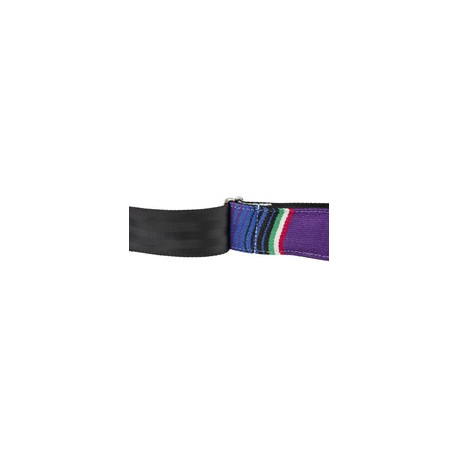 Correa Fender Para Guitarra Thaly Serape Multicolor 0992132540