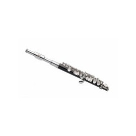 Flautin Blessing (flauta Piccolo) Do C/est. Abs, 6458is